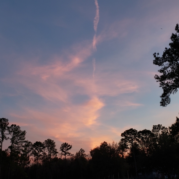 Meet your Posher, Whispering - Picture 4 of 8